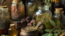 Hang Zhou Herbs