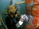 Nereus Subsea L L C