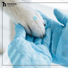 Harmony Vet Clinic