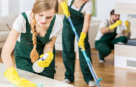 Lily House Maid Services