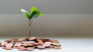 Grey Sell Financial