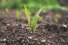 Grace Land Irrigation And Landscaping