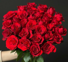 My Roses