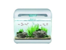 Ahli Aquarium