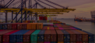 Maxline Global Logistics Solutions