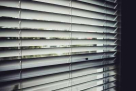 Pachers Blinds Trading