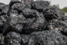 Tahir Mohammed Coal & Firewood Trading