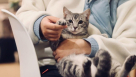 Perfect Dose Veterinary Clinic
