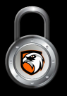 Eagle Eye Security Services