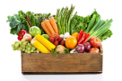 Jabal Alreef Goods Wholesalers Co.