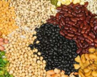 Agrinests Foodstuff Trading