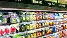 Rich Garden Food Trading