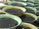 Al Omani Sweet Factory