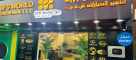 S F S World Car Rental