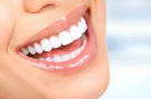 Erdem Medical Services