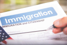 M S G Visa Services