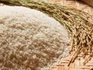 Shahraan Foodstuff Trading