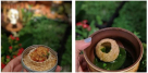 Tresind Studio Restaurant