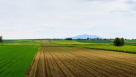 Viscount Consultancy And Environmental Studies