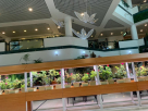 AWG GAREDN CENTER