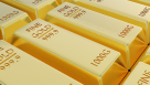 Elegant Prime Gold