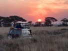 Trust Travel And Tourism