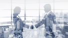 Finacle Tax & Auditing