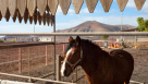 Caballo Equestrian Club