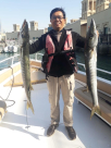 Ocean Cruise Passenger Yachts & Boats Rental
