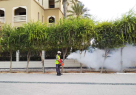 Quality Pest Control