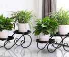 Creative Garden