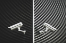Night Owl Security Services