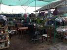 Srg Nurseries