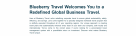 Blueberry Travel