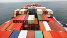 Saqer Al Sahra Freight Brokers