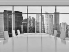 C S Q Project Development Consultant