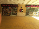 Dolche Flowers