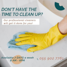 Day Cleaner Services