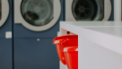 Day White Laundry Services