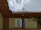 Green Zone Hospitality Services