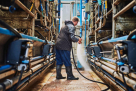 Fresh And Shine Technical And Cleaning Services