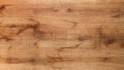 Wood Lion