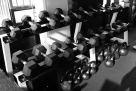 SPORTS PLANET SPORT EQUIPMENT TRADING
