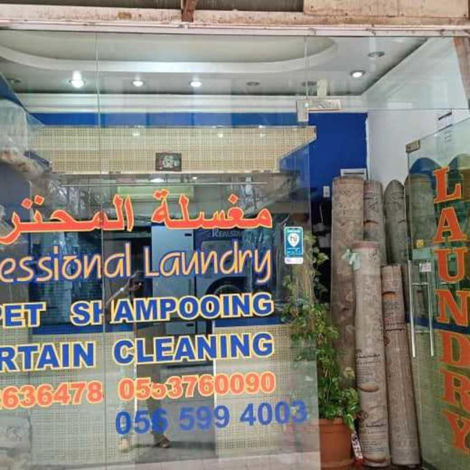Professional Laundry