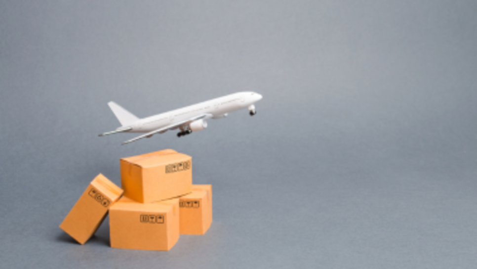 F N C Alliance Cargo Services