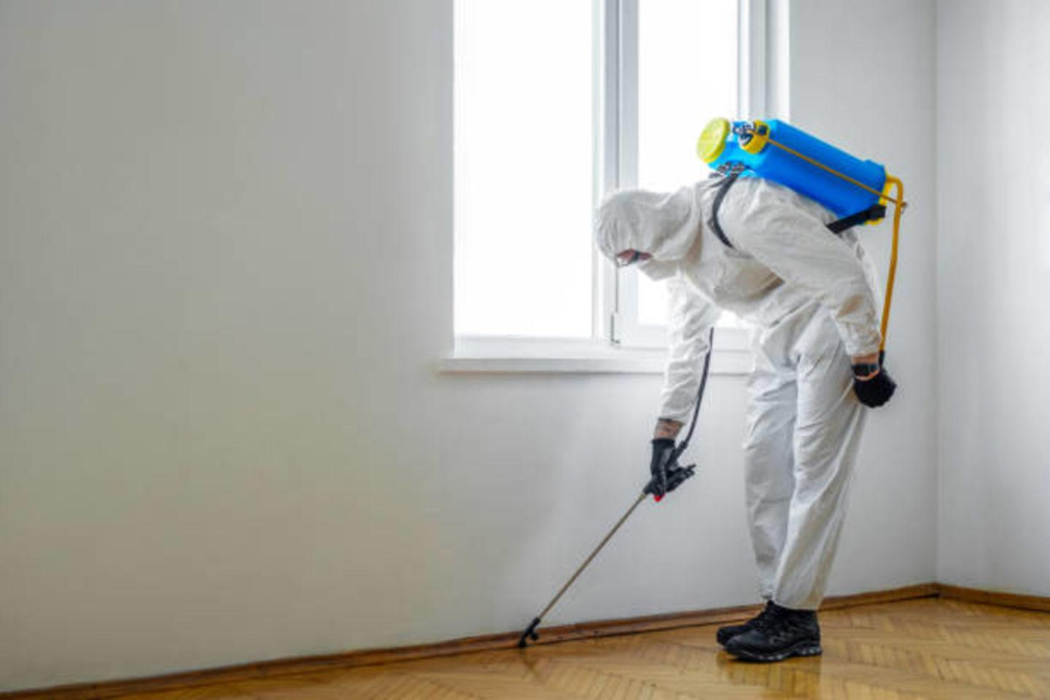 Trustco Pest Control & Cleaning Services