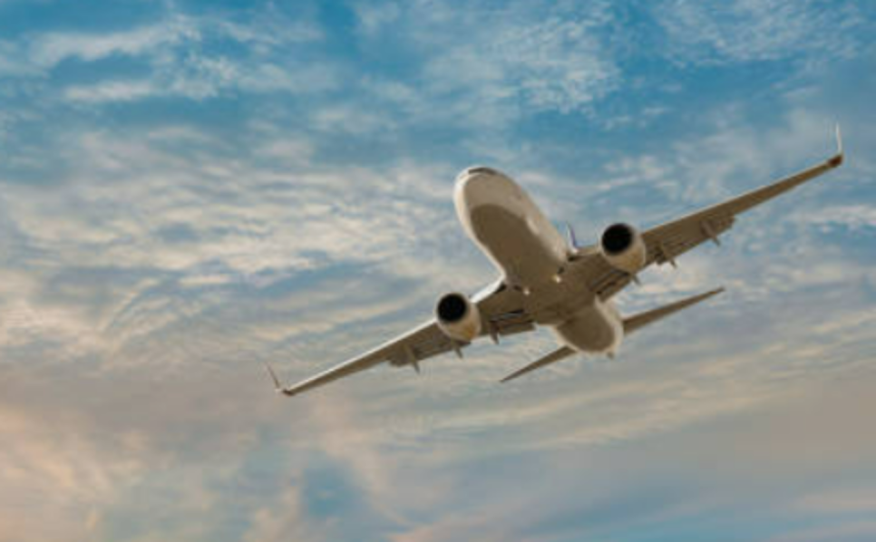Avens Travel & Tourism