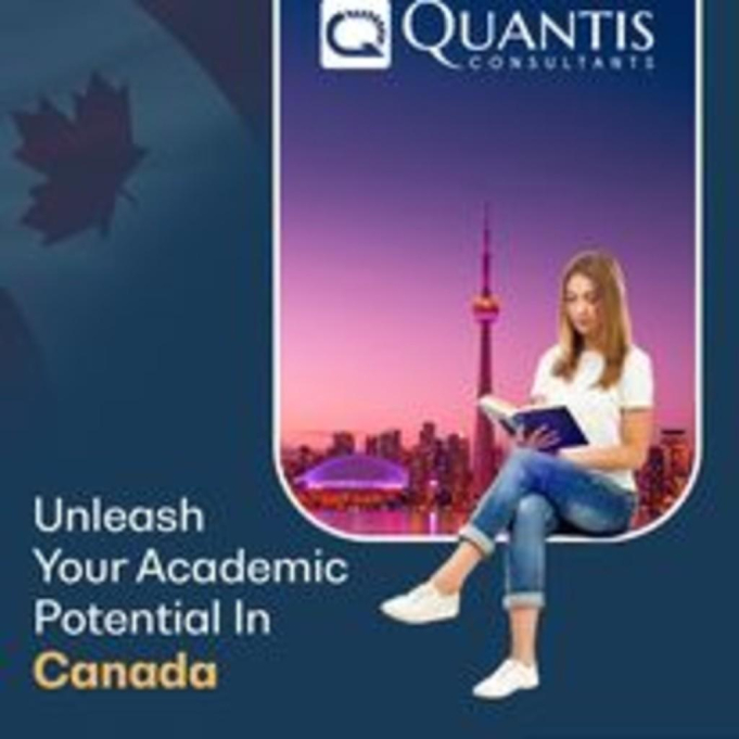 Quantis Consultants Services