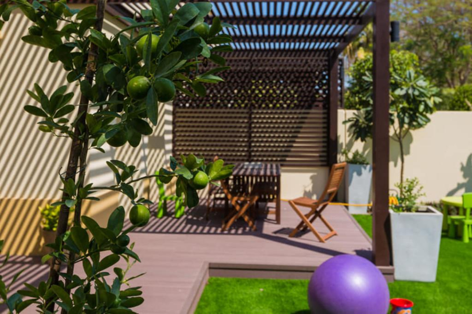 Ali Raza Landscape & Gardening