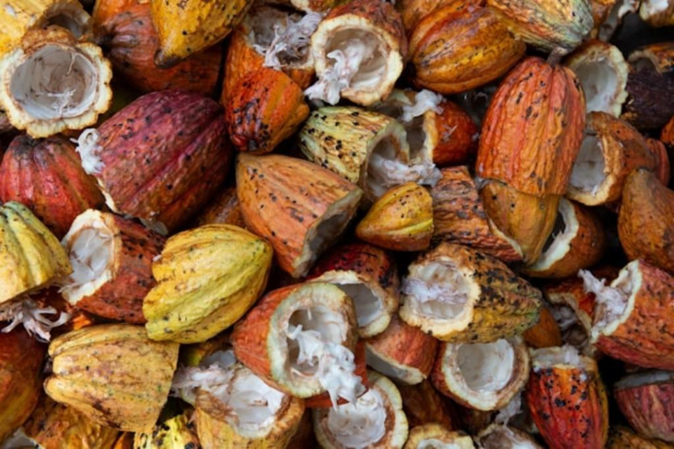 Al Raiqa Foodstuff Trading